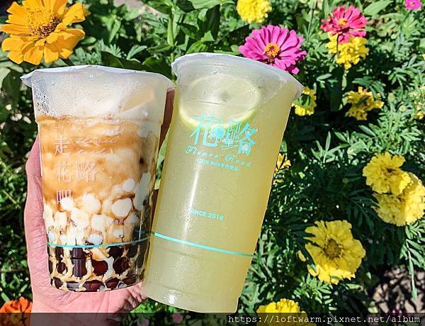 花路Flower Road 100%Milk手作飲品手搖飲料店 嚐鮮琥珀黑糖珍珠鮮奶 甘蔗蜜檸檬(附菜單...