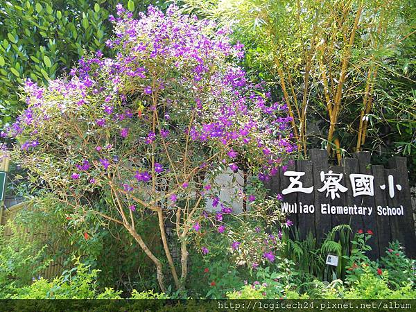 五寮國小~(1/5) 五寮國小~(1/5)