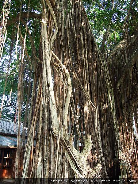 台中文學公園~(1/3)