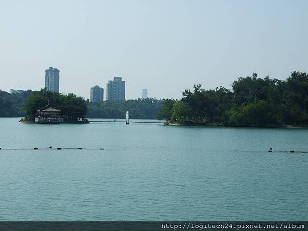 澄清湖吊橋~(2/3)