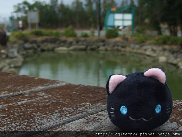 陵頂自然公園~(7/7) 陵頂自然公園~(7/7)