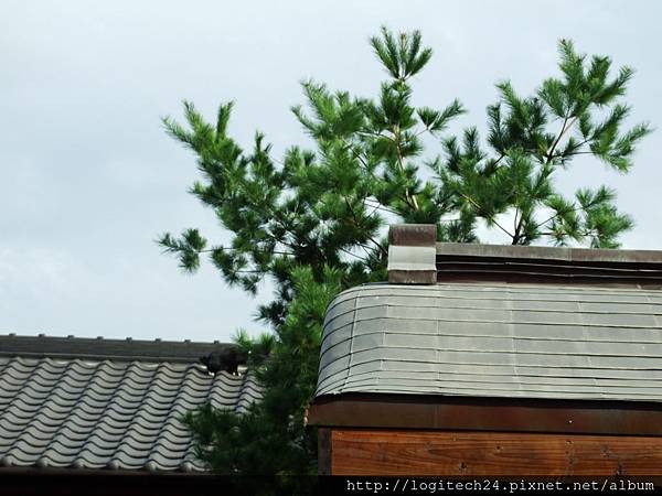 西本願寺廣場~(2/3)