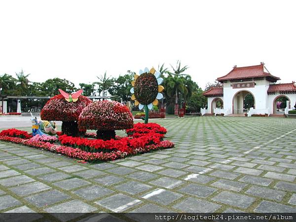 田尾公路花園~(2/4)