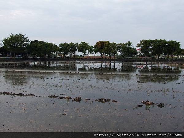 埤頭繪本公園~(19/21)