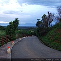 秀才登山步道~(13/14)