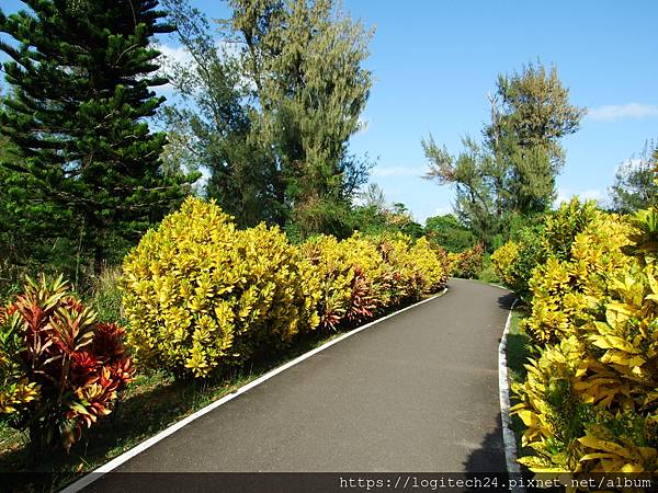 台東森林公園~(10/10)