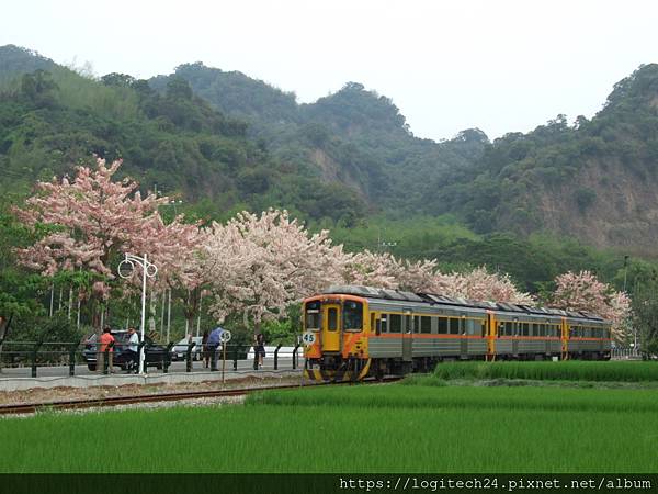 二水之花旗木火車~(33/40)