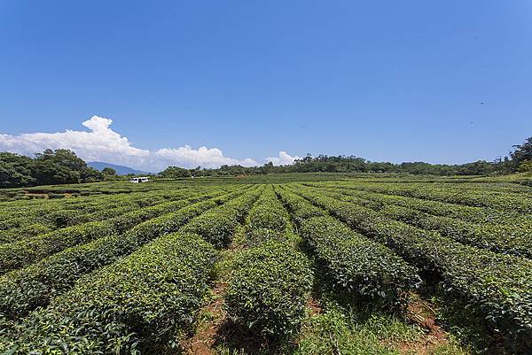 九華山及周邊-008.jpg