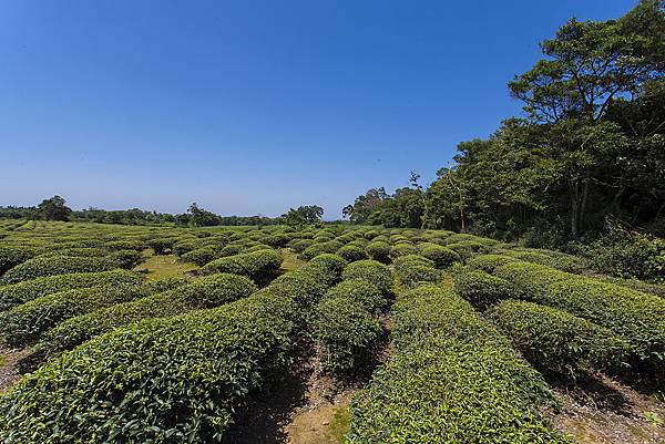 九華山及周邊-031.jpg