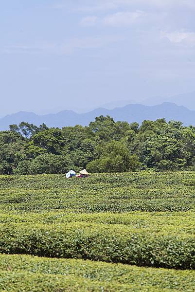 九華山及周邊-042.jpg