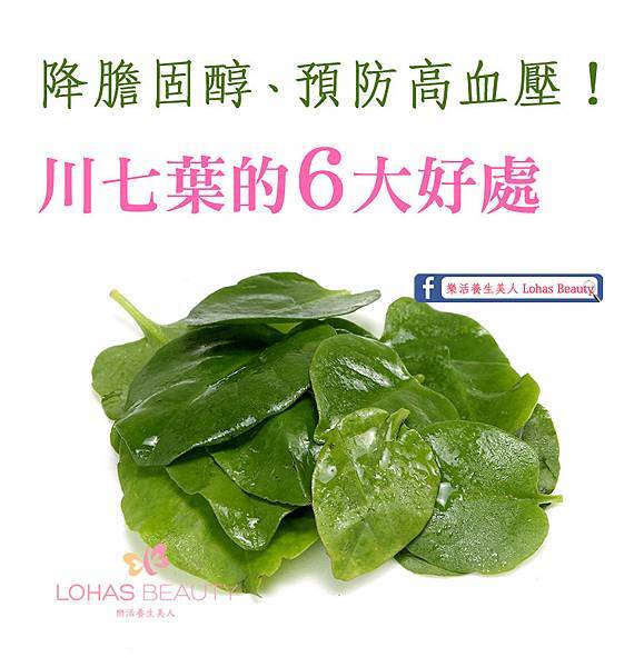 降低膽固醇、預防高血壓！ 【川七葉的6大好處】