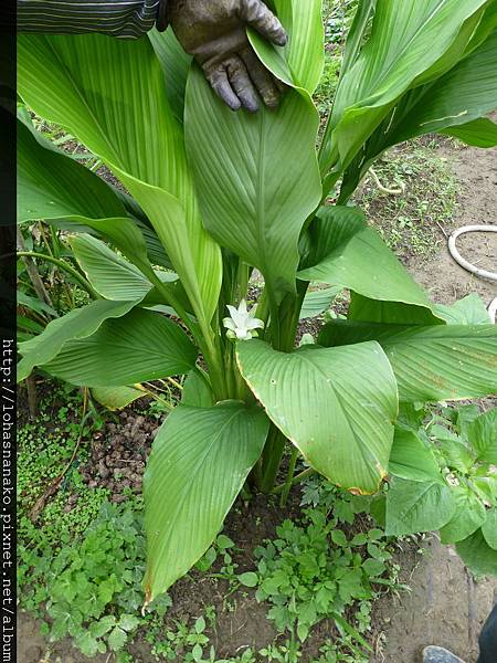 P1020157 P1020157