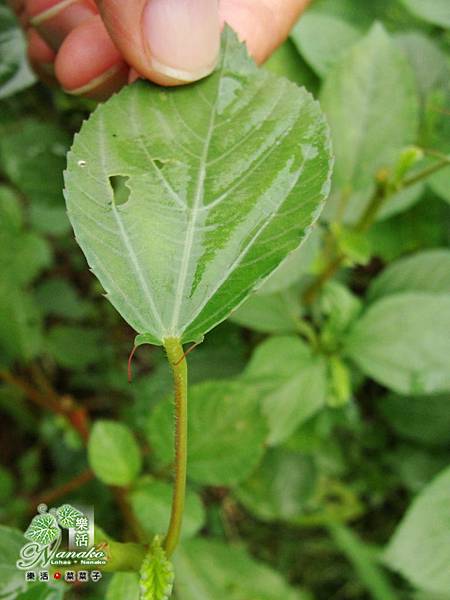 DSC03674.JPG DSC03674.JPG