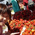 巨型草莓