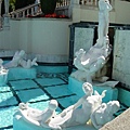 泳池裡有雕像？！