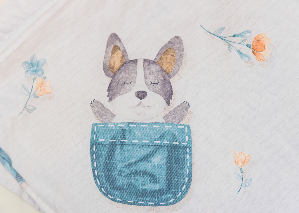 /tmp/php62orHR /tmp/php62orHR