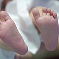 baby-feet-1025398_640.jpg