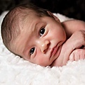 newborn-baby-990691_1280.jpg