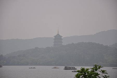 DSC_6247