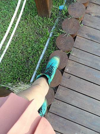 SAM_2533