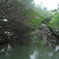 016. 台江國家公園.jpg