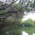 020. 台江國家公園.jpg