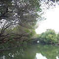 021. 台江國家公園.jpg