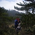 25.山下山上兩樣情.jpg