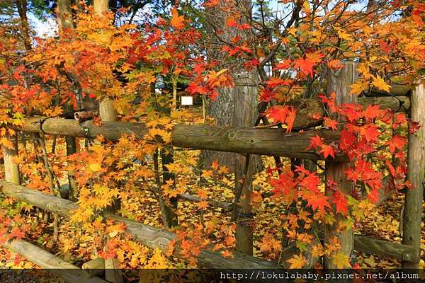 秋田 秋日紀行角館武家屋敷紅葉散策 蝶的日本美學帶路 痞客邦