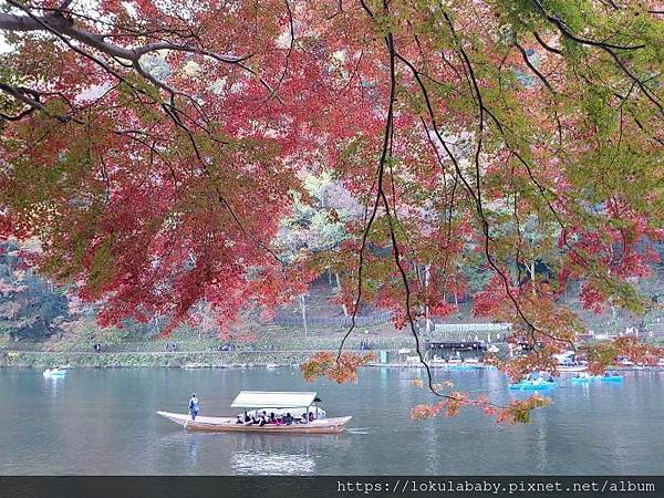 [2024日本出團訊息]海之京都與山陰山陽美學之旅6日(秋季