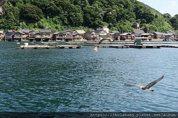 [2024日本出團訊息]海之京都與山陰山陽美學之旅6日(秋季