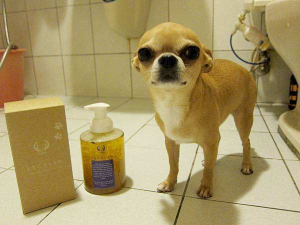 IMG_0299 IMG_0299