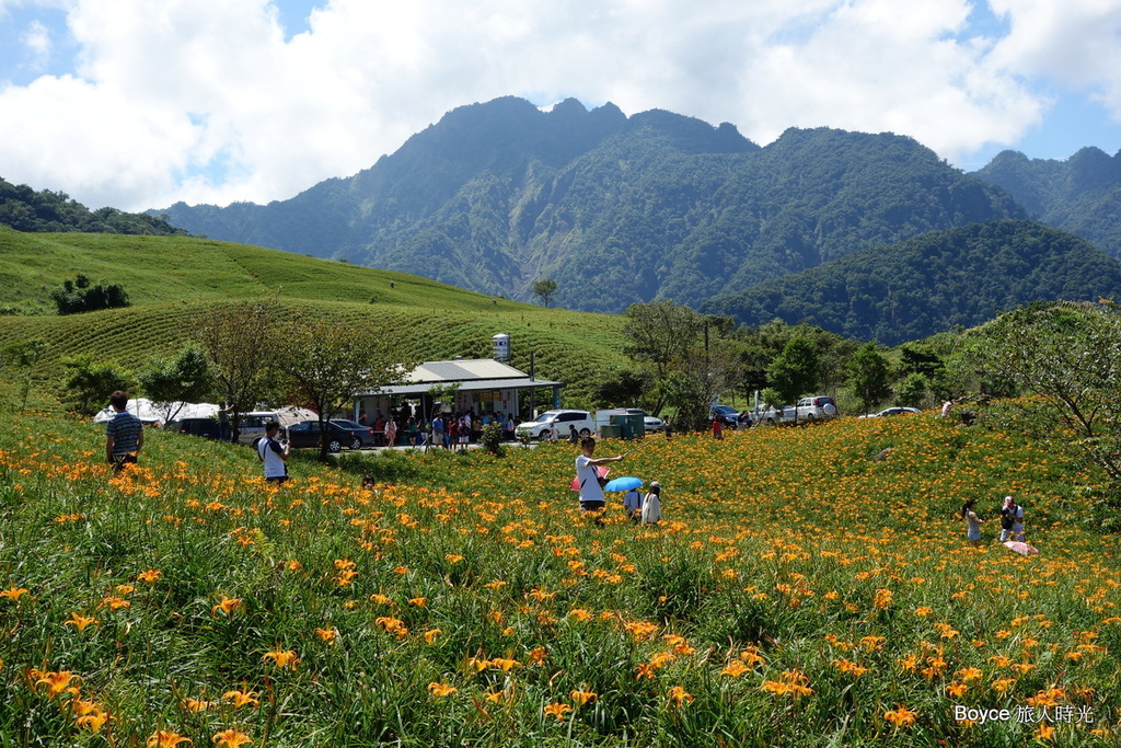 2013-8-10 夏天之旅 - 瑞穗-六十石山金針花-伯朗大道-池上豐年祭-熱氣球-溫泉豐年祭.rar