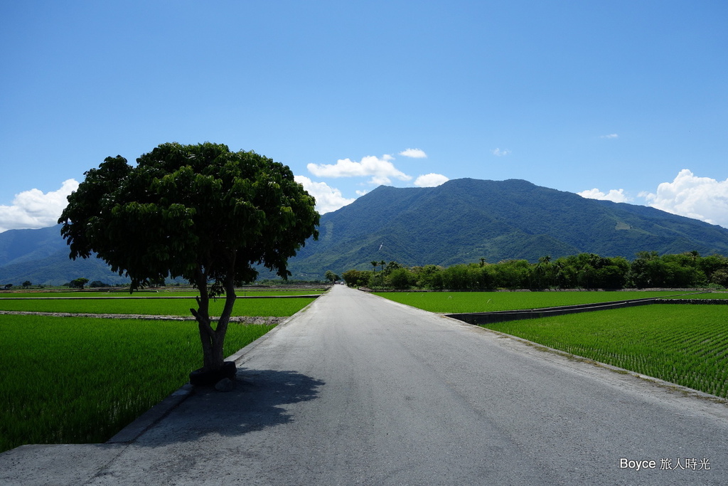 2013-8-10 夏天之旅 - 瑞穗-六十石山金針花-伯朗大道-池上豐年祭-熱氣球-溫泉豐年祭.rar