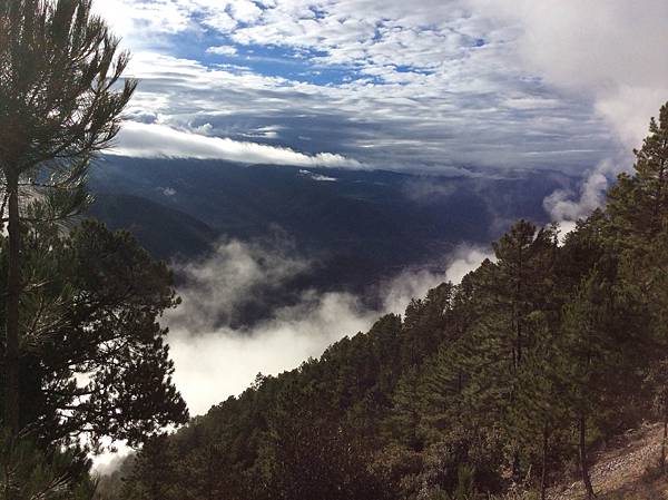 2015-09-16 04.19.05-1.jpg