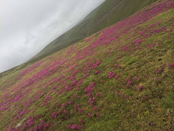 2015-09-16 04.18.44-2.jpg