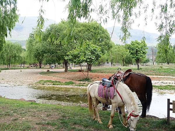 2016-05-04 沙溪古鎮-漫步