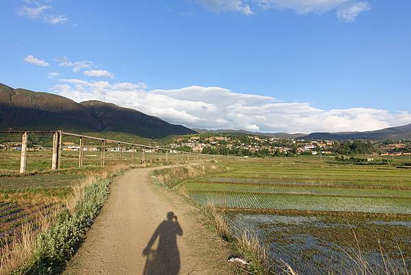 2016-05-14 沙溪古鎮-稻田 (7).JPG