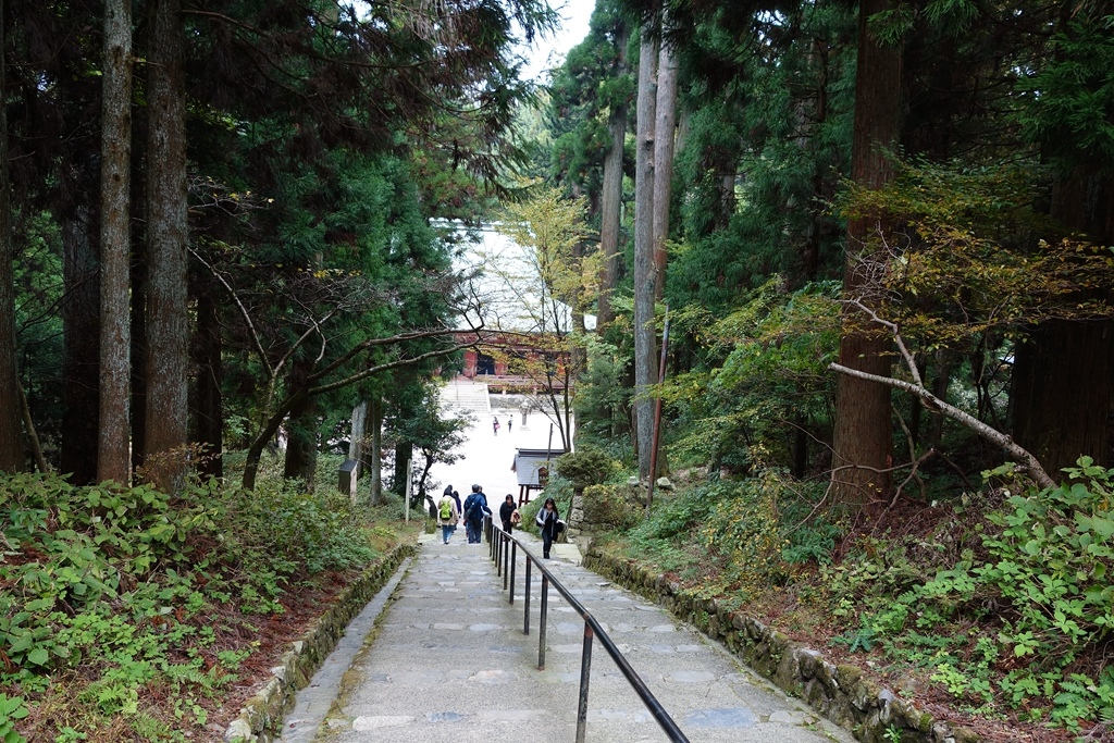 DSC07596.jpg