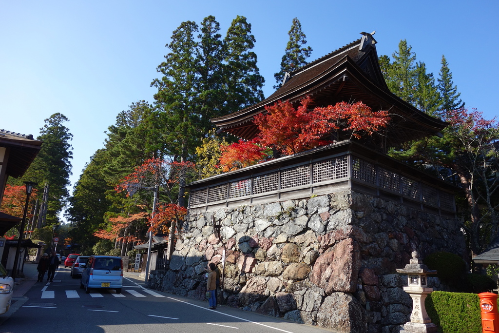 DSC09040 DSC09040