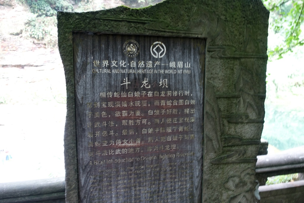 DSC05832.jpg