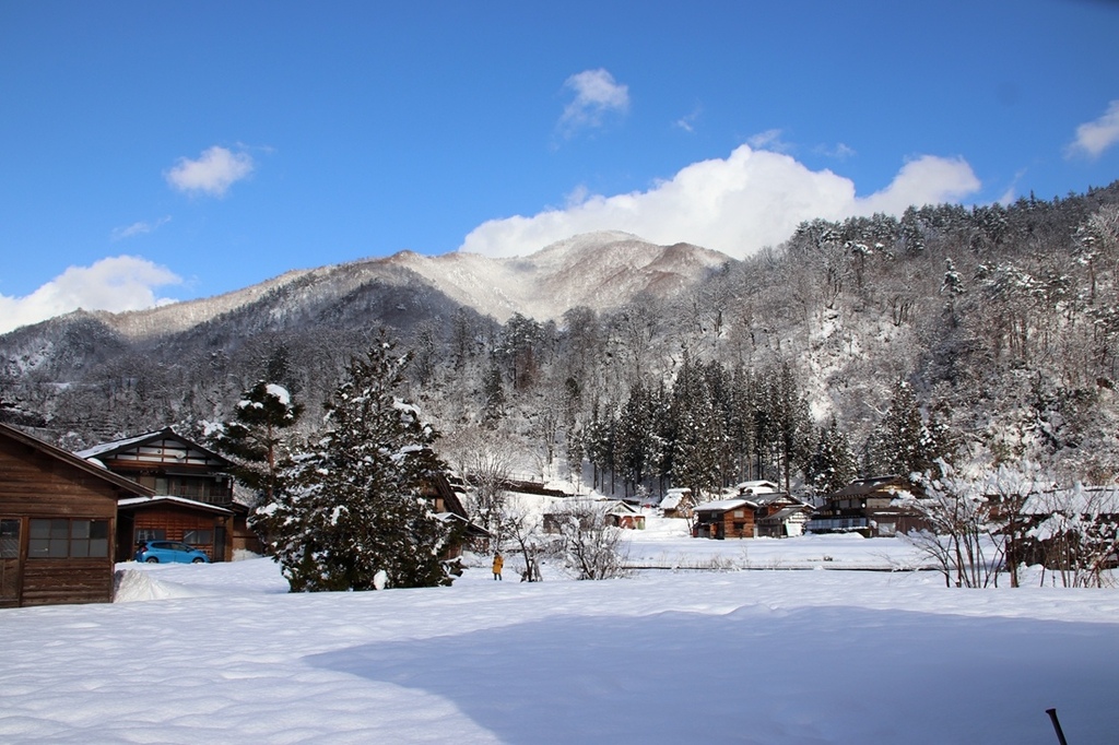 IMG_4437.jpg IMG_4437.jpg