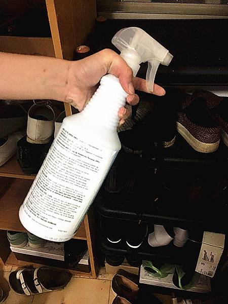 S__19898382_副本.jpg S__19898382_副本.jpg