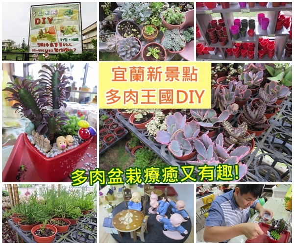 宜蘭景點 多肉王國diy 多肉盆栽親手diy 盆栽裝飾物任你挑 療癒又有趣 兩隻小豬 痞客邦