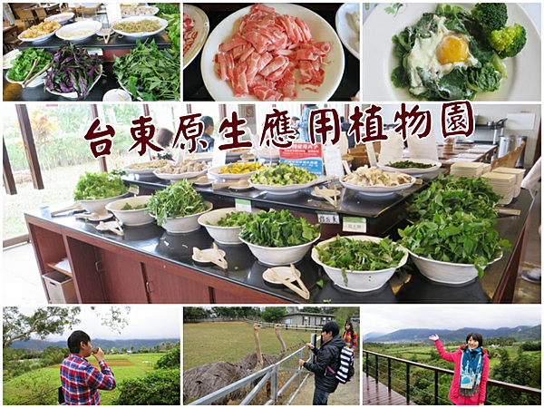 台東原生應用植物園