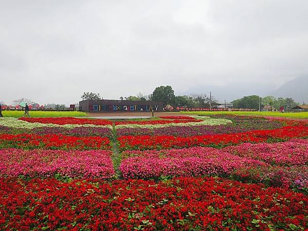 大農大富平地森林園區 (6).jpg