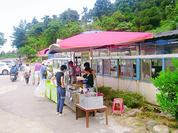午後陽光繡球花田 (8).JPG