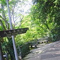 大屯瀑布 (10).JPG