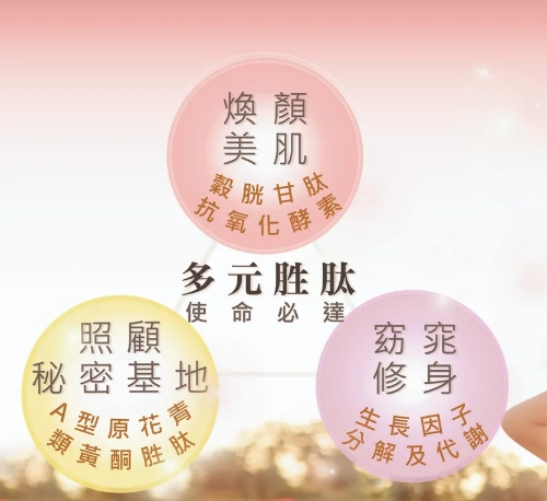 image 試用