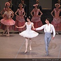 Coppelia